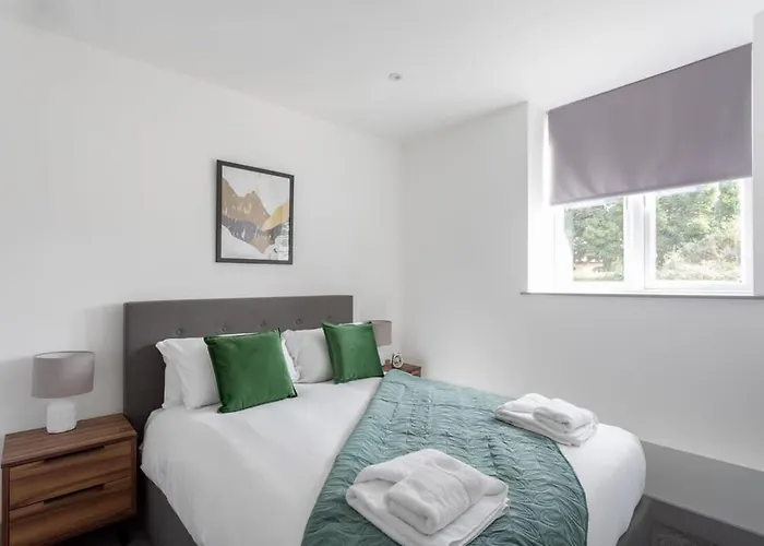 Modern 1 Bedroom Apartment